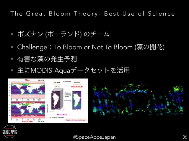 #SpaceAppsJapan
T h e G re a t B l o o m T h e o r y - B e s t U s e o f S c i e n c e
• ϙζφϯ (ϙʔϥϯυ) ͷνʔϜ
• ChallengeɿTo Bloom or Not To Bloom (૶ͷ։Ֆ)
• ༗֐ͳ૶ͷൃੜ༧ଌ
• ओʹMODIS-AquaσʔληοτΛ׆༻
36
