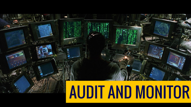AUDIT AND MONITOR
