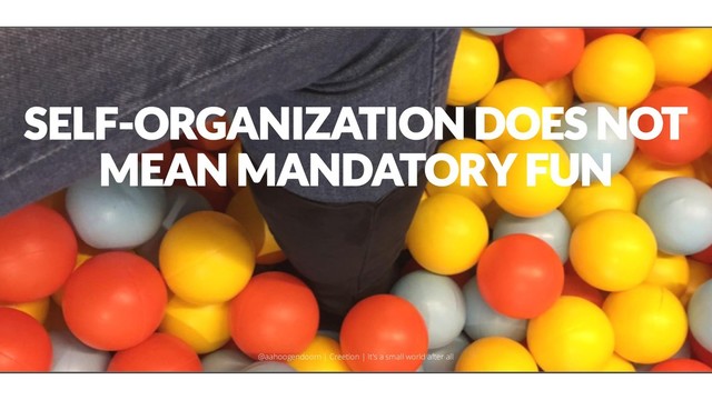 SELF-ORGANIZATION DOES NOT
MEAN MANDATORY FUN
@aahoogendoorn | Creetion | It's a small world after all
