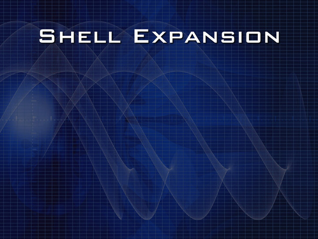 Shell Expansion
