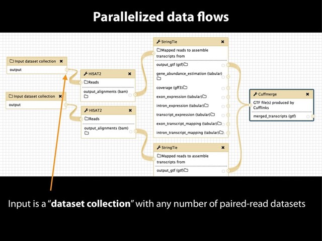 Parallelized data flows
Input is a “dataset collection” with any number of paired-read datasets
