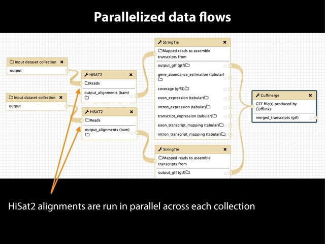 Parallelized data flows
HiSat2 alignments are run in parallel across each collection

