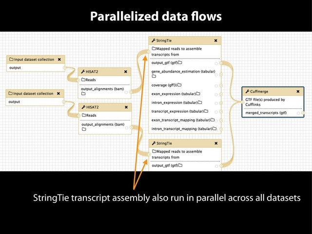 Parallelized data flows
StringTie transcript assembly also run in parallel across all datasets
