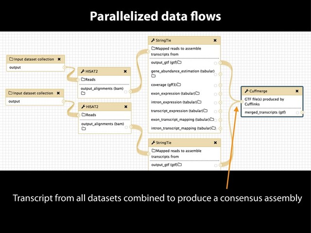 Parallelized data flows
Transcript from all datasets combined to produce a consensus assembly
