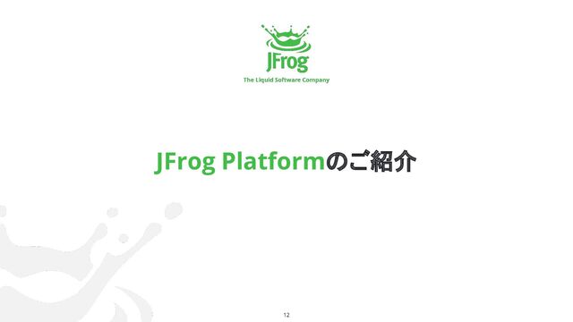 12
JFrog Platformのご紹介
