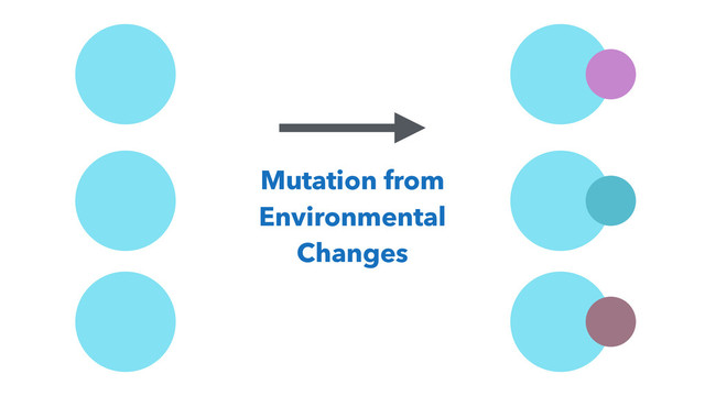 Mutation from
Environmental
Changes
