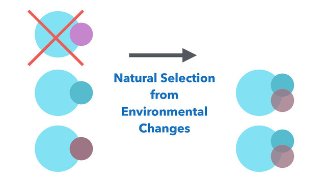 Natural Selection
from
Environmental
Changes
×
