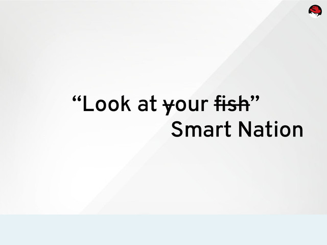“Look at your fish”
Smart Nation

