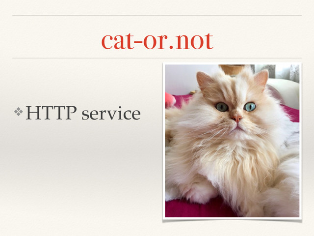 cat-or.not
❖ HTTP service
