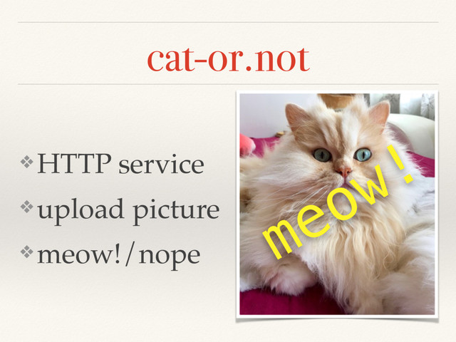 cat-or.not
❖ HTTP service
❖ upload picture
❖ meow!/nope
meow!
