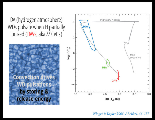 DA (hydrogen atmosphere)
WDs pulsate when H partially
ionized (DAVs, aka ZZ Cetis)
in Figure 3. The pulsating pre-white dwarf PG 1159 stars, the DOVs, around 75,
170,000 K have the highest number of detected modes. The ﬁrst class of pulsating st
5.5 5.0 4.5
Planetary Nebula
Main
sequence
DOV
DBV
DAV
4.0 3.5 3.0
log [T
eff
(K)]
4
2
0
–2
–4
log (L/L )
Figure 3
A 13-Gyr isochrone with z = 0.019 from Marigo et al. (2007), on which we have drawn the obser
locations of the instability strips, following the nonadiabatic calculations of C´
orsico, Althaus & Mi
Bertolami (2006) for the DOVs, the pure He ﬁts to the observations of Beauchamp et al. (1999) fo
DBVs, and the observations of Gianninas, Bergeron & Fontaine (2006) and Castanheira et al. (200
Annu. Rev. Astro. Astrophys. 2008.46:157-199. Downloa
by University of Texas - Austin on 01/28/0
Winget & Kepler 2008, ARA&A, 46, 157
