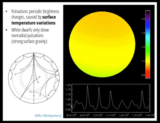Mike Montgomery
• Pulsations: periodic brightness
changes, caused by surface
temperature variations
• White dwarfs only show
nonradial pulsations
(strong surface gravity)
