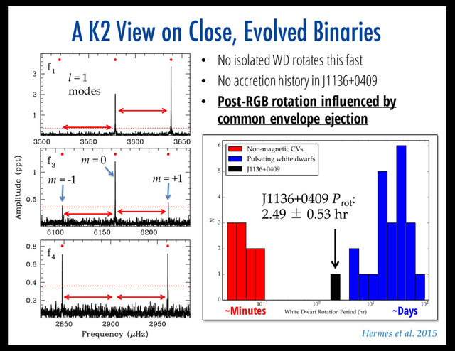 A K2 View on Close, Evolved Binaries
10 1 100 101 102
White Dwarf Rotation Period (hr)
0
1
2
3
4
5
6
N
Non-magnetic CVs
Pulsating white dwarfs
J1136+0409
J1136+0409 Prot
:
2.49 ± 0.53 hr
~Days
~Minutes
• No isolated WD rotates this fast
• No accretion history in J1136+0409
• Post-RGB rotation influenced by
common envelope ejection
Hermes et al. 2015
l = 1
modes
m = +1
m = 0
m = -1
