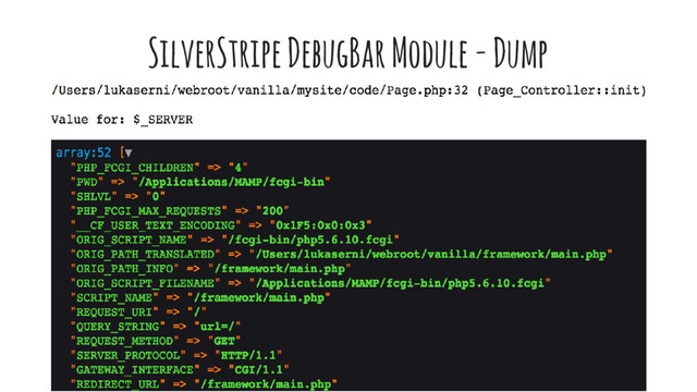 SilverStripe DebugBar Module - Dump
