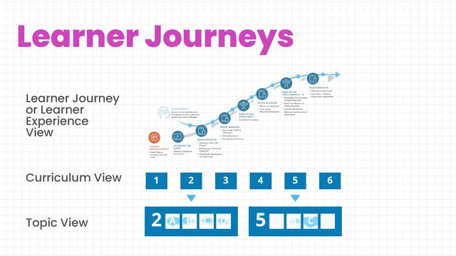 Learner Journeys
Topic View
Curriculum View
Learner Journey
or Learner
Experience
View
