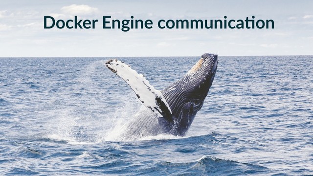 Docker Engine communica-on
