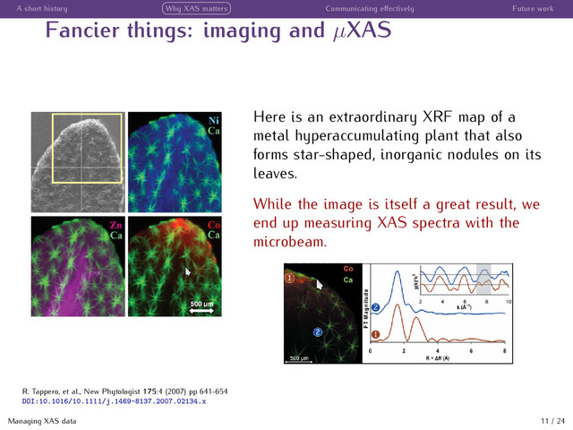 A short history Why XAS matters Communicating eﬀectively Future work
Fancier things: imaging and µXAS
Here is an extraordinary XRF map of a
metal hyperaccumulating plant that also
forms star-shaped, inorganic nodules on its
leaves.
While the image is itself a great result, we
end up measuring XAS spectra with the
microbeam.
Managing XAS data 11 / 24
R. Tappero, et al., New Phytologist 175:4 (2007) pp 641-654
DOI:10.1016/10.1111/j.1469-8137.2007.02134.x
