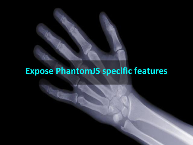 Expose PhantomJS specific features
