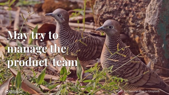 May try to
manage the
product/team
Photo by Cherylyn Ang on Unsplash
@jpgcc_
