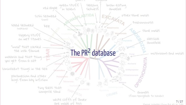The PR2 database
7 / 27
