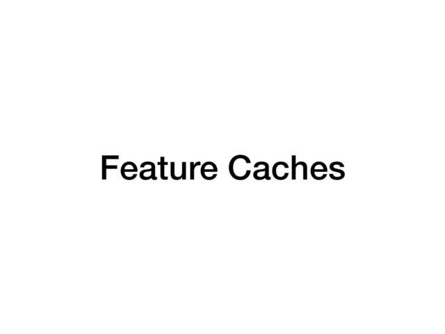 Feature Caches
