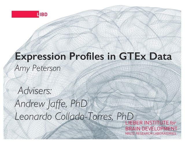 11
Expression Profiles in GTEx Data
Amy Peterson
Advisers:
Andrew Jaffe, PhD
Leonardo Collado-Torres, PhD
