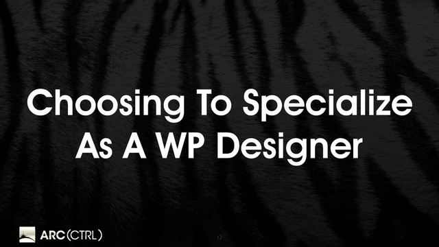 12
Choosing To Specialize
As A WP Designer
