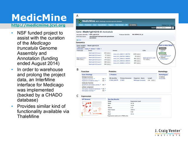 MedicMine
http://medicmine.jcvi.org
• NSF funded project to
assist with the curation
of the Medicago
truncatula Genome
Assembly and
Annotation (funding
ended August 2014)
• In order to warehouse
and prolong the project
data, an InterMine
interface for Medicago
was implemented
(backed by a CHADO
database)
• Provides similar kind of
functionality available via
ThaleMine
