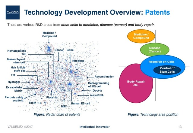 Technology Development Overview: Patents
There are various R&D areas from stem cells to medicine, disease (cancer) and body repair.
13
Medicine /
Compound
Cancer
Mesenchymal
stem cell
Hair follicle
stem cell
Fat
Hydrogel
Figure: Radar chart of patents
Extracellular
Matrix
Gene
Nuclease
Hematopoietic
cell
Reprogramming
of iPS cell
Oocyte
microRNA
Tooth
Recombination
Human ES cell
NSC
Placenta
Disease
(Cancer)
Body Repair
etc.
Control of
Stem Cells
Research on Cells
Figure: Technology area position
Medicine /
Compound
Plerosis using
scaffold
VALUENEX ©2017 intellectual innovator
