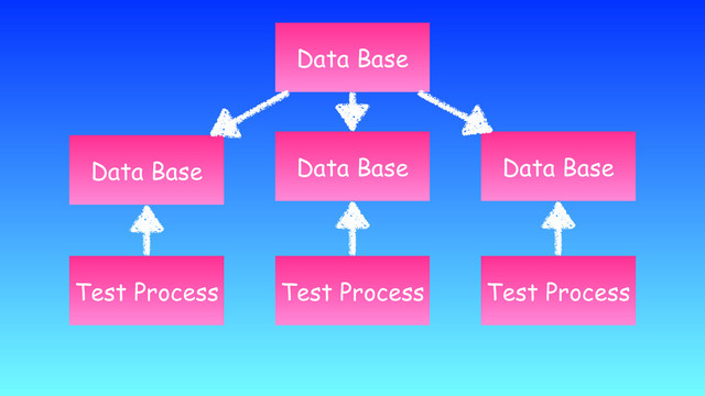 Data Base
Test Process Test Process Test Process
Data Base Data Base
Data Base
