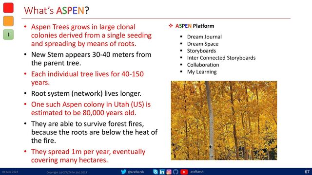 @arafkarsh arafkarsh
What’s ASPEN?
• Aspen Trees grows in large clonal
colonies derived from a single seeding
and spreading by means of roots.
• New Stem appears 30-40 meters from
the parent tree.
• Each individual tree lives for 40-150
years.
• Root system (network) lives longer.
• One such Aspen colony in Utah (US) is
estimated to be 80,000 years old.
• They are able to survive forest fires,
because the roots are below the heat of
the fire.
• They spread 1m per year, eventually
covering many hectares.
04 June 2022 Copyright (c) OZAZO Pvt Ltd, 2013
67
❖ ASPEN Platform
▪ Dream Journal
▪ Dream Space
▪ Storyboards
▪ Inter Connected Storyboards
▪ Collaboration
▪ My Learning
I
