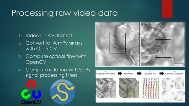 Processing raw video data
1. Videos in AVI format
2. Convert to NumPy arrays
with OpenCV
3. Compute optical flow with
OpenCV
4. Compute rotation with SciPy
signal processing filters
