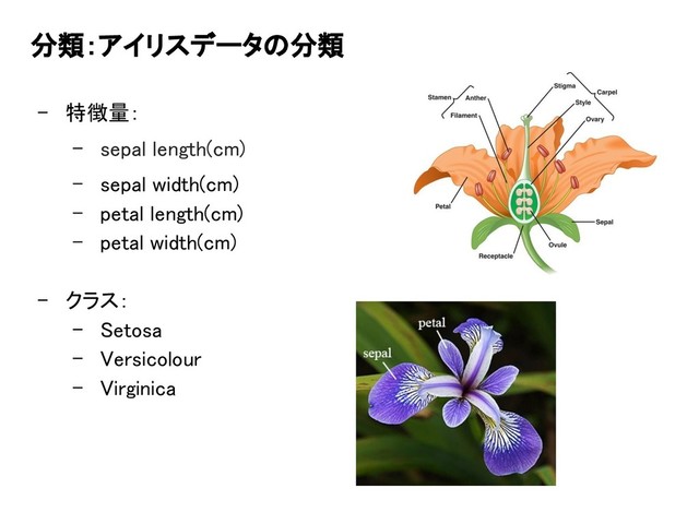 分類：アイリスデータの分類
- 特徴量：
- sepal length(cm)
- sepal width(cm)
- petal length(cm)
- petal width(cm)
- クラス：
- Setosa
- Versicolour
- Virginica

