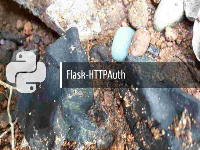  Flask-HTTPAuth
10 / 20
