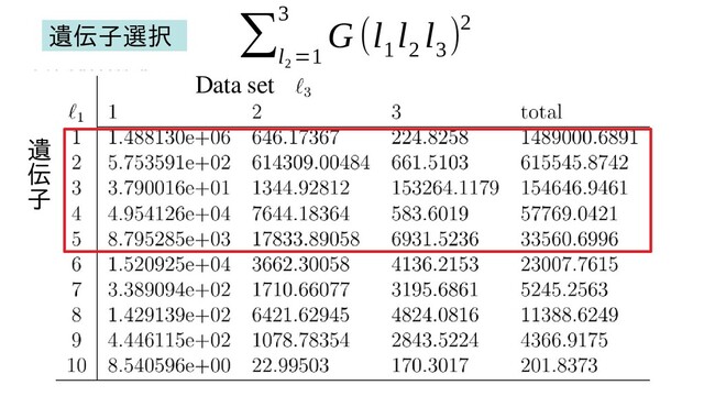 遺
伝
子
Data set
∑
l
2
=1
3
G (l
1
l
2
l
3
)2
遺伝子選択

