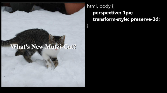 html, body {
perspective: 1px;
transform-style: preserve-3d;
}

