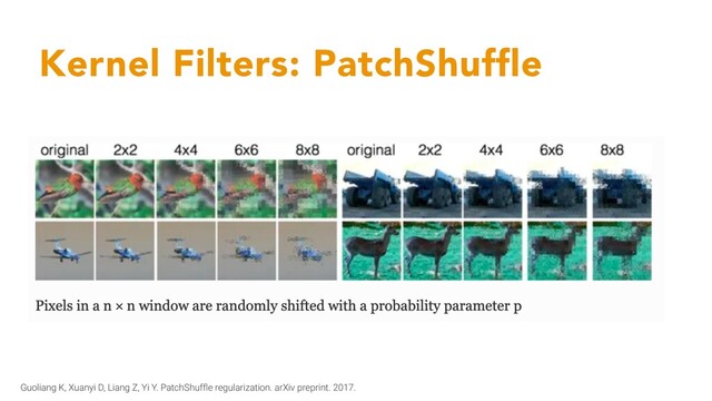 Kernel Filters: PatchShuffle
Guoliang K, Xuanyi D, Liang Z, Yi Y. PatchShuffle regularization. arXiv preprint. 2017.
