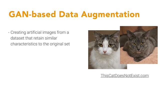 GAN-based Data Augmentation
- Creating artificial images from a
dataset that retain similar
characteristics to the original set
ThisCatDoesNotExist.com
