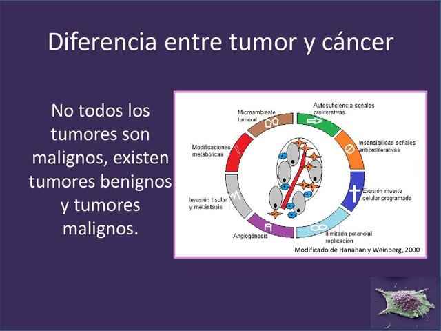 No todos los
tumores son
malignos, existen
tumores benignos
y tumores
malignos.
Diferencia entre tumor y cáncer
Modificado de Hanahan y Weinberg, 2000.
