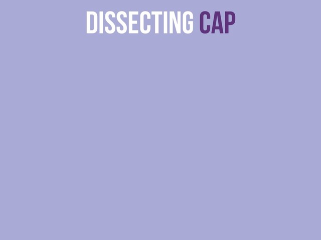dissecting CAP
