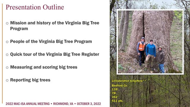 o Mission and history of the Virginia Big Tree
Program
o People of the Virginia Big Tree Program
o Quick tour of the Virginia Big Tree Register
o Measuring and scoring big trees
o Reporting big trees
Bedford Co.
139’
78’
362”
511 pts.
Liriodendron tulipifera**
2022 MAC-ISA ANNUAL MEETING • RICHMOND, VA • OCTOBER 3, 2022
Presentation Outline
