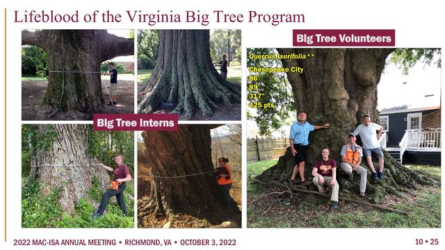 Big Tree Interns
Big Tree Volunteers
Quercus laurifolia**
Chesapeake City
86’
89’
317”
425 pts.
Lifeblood of the Virginia Big Tree Program
10  25
2022 MAC-ISA ANNUAL MEETING • RICHMOND, VA • OCTOBER 3, 2022

