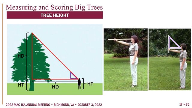17  25
2022 MAC-ISA ANNUAL MEETING • RICHMOND, VA • OCTOBER 3, 2022
Measuring and Scoring Big Trees
TREE HEIGHT
