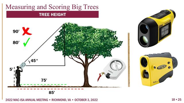 18  25
2022 MAC-ISA ANNUAL MEETING • RICHMOND, VA • OCTOBER 3, 2022
Measuring and Scoring Big Trees
TREE HEIGHT
