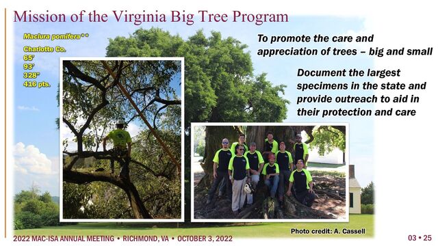 To promote the care and
appreciation of trees – big and small
Document the largest
specimens in the state and
provide outreach to aid in
their protection and care
Maclura pomifera**
Charlotte Co.
65’
93’
328”
416 pts.
Photo credit: A. Cassell
03  25
2022 MAC-ISA ANNUAL MEETING • RICHMOND, VA • OCTOBER 3, 2022
Mission of the Virginia Big Tree Program
