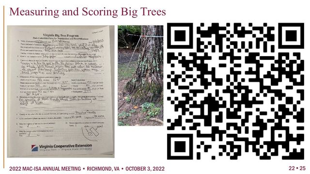 22  25
2022 MAC-ISA ANNUAL MEETING • RICHMOND, VA • OCTOBER 3, 2022
Measuring and Scoring Big Trees
