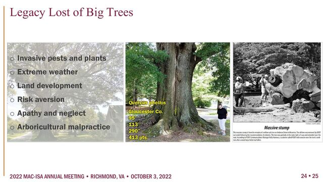 24  25
2022 MAC-ISA ANNUAL MEETING • RICHMOND, VA • OCTOBER 3, 2022
Legacy Lost of Big Trees
Quercus phellos
Gloucester Co.
95’
113’
290”
413 pts.
o Invasive pests and plants
o Extreme weather
o Land development
o Risk aversion
o Apathy and neglect
o Arboricultural malpractice
