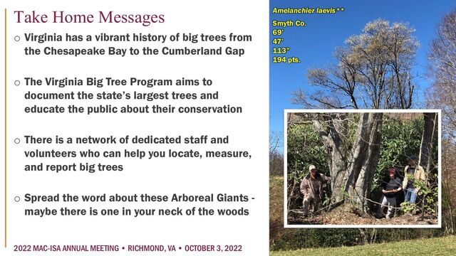 o Virginia has a vibrant history of big trees from
the Chesapeake Bay to the Cumberland Gap
o The Virginia Big Tree Program aims to
document the state’s largest trees and
educate the public about their conservation
o There is a network of dedicated staff and
volunteers who can help you locate, measure,
and report big trees
o Spread the word about these Arboreal Giants -
maybe there is one in your neck of the woods
Smyth Co.
69’
47’
113”
194 pts.
Amelanchier laevis**
Take Home Messages
2022 MAC-ISA ANNUAL MEETING • RICHMOND, VA • OCTOBER 3, 2022
