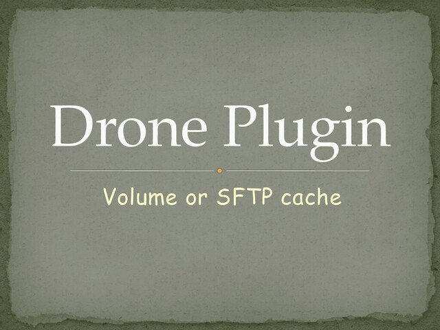 Volume or SFTP cache
Drone Plugin
