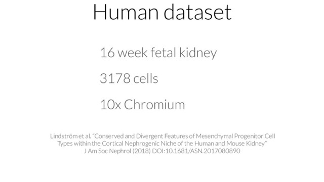 Human dataset
16 week fetal kidney
3178 cells
10x Chromium
Lindström et al. “Conserved and Divergent Features of Mesenchymal Progenitor Cell
Types within the Cortical Nephrogenic Niche of the Human and Mouse Kidney”
J Am Soc Nephrol (2018) DOI:10.1681/ASN.2017080890
